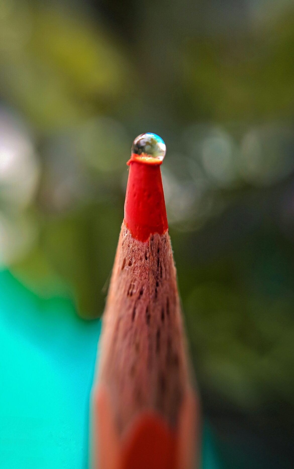 7 Micro Photography Tips 7 Micro Photography Tips