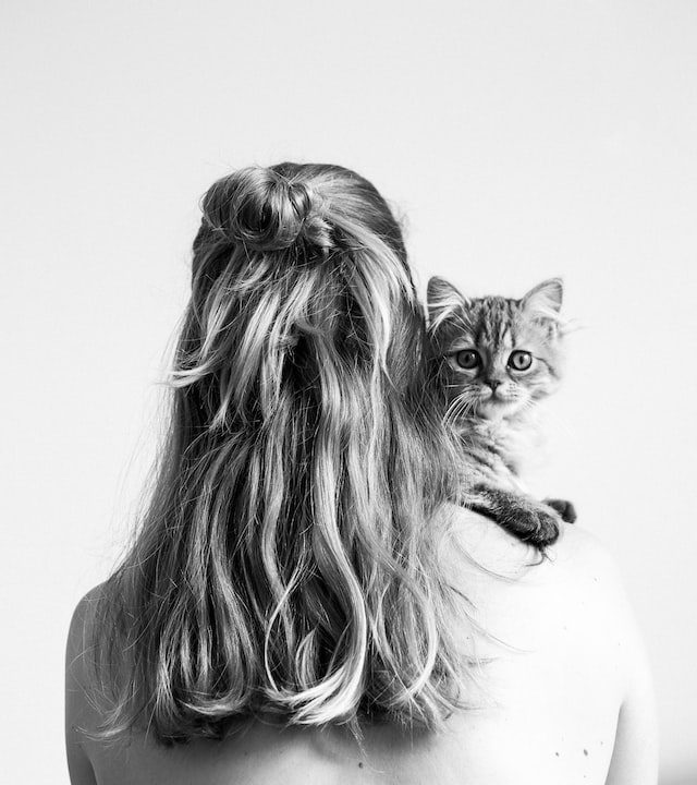 10 Pet Photography Tips - Use A Plain Background