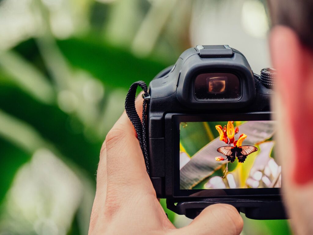 10 Tips For Taking Better Photos _ Close Up