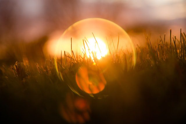 Macro Lens Photography Tips And Tricks - Let There Be Light