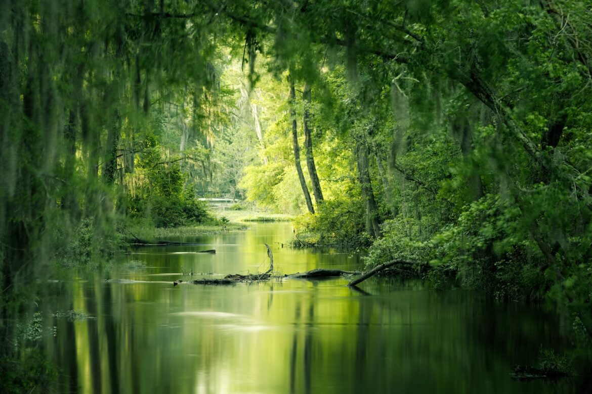 Nature Photography For Beginners Nature Photography For Beginners