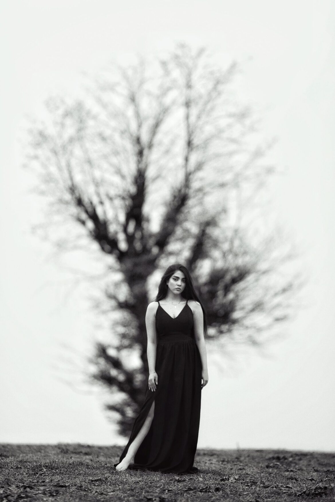 Understanding The Power Of Fine-Art Photography Understanding The Power Of Fine-Art Photography